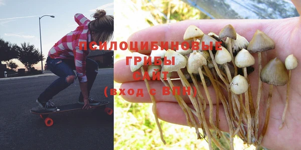 стаф Балабаново