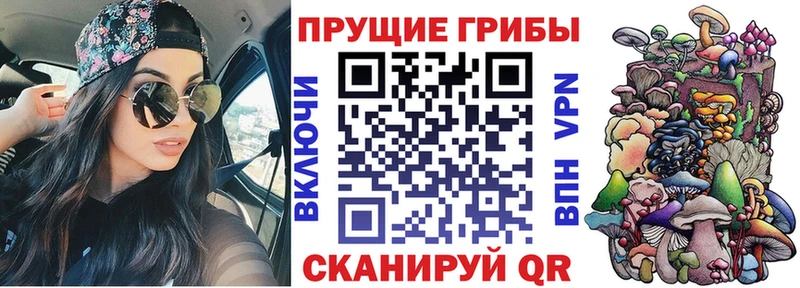 Псилоцибиновые грибы GOLDEN TEACHER  купить закладку  Великий Устюг 