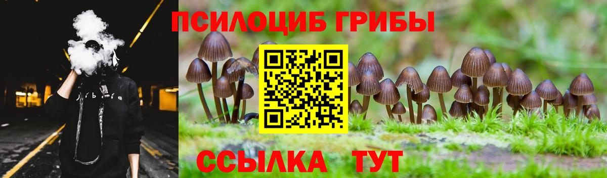 Галлюциногенные грибы мухоморы Великий Устюг